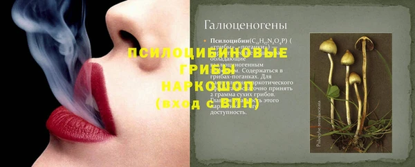 Альфа ПВП Абаза