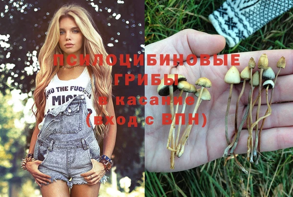 Альфа ПВП Абинск