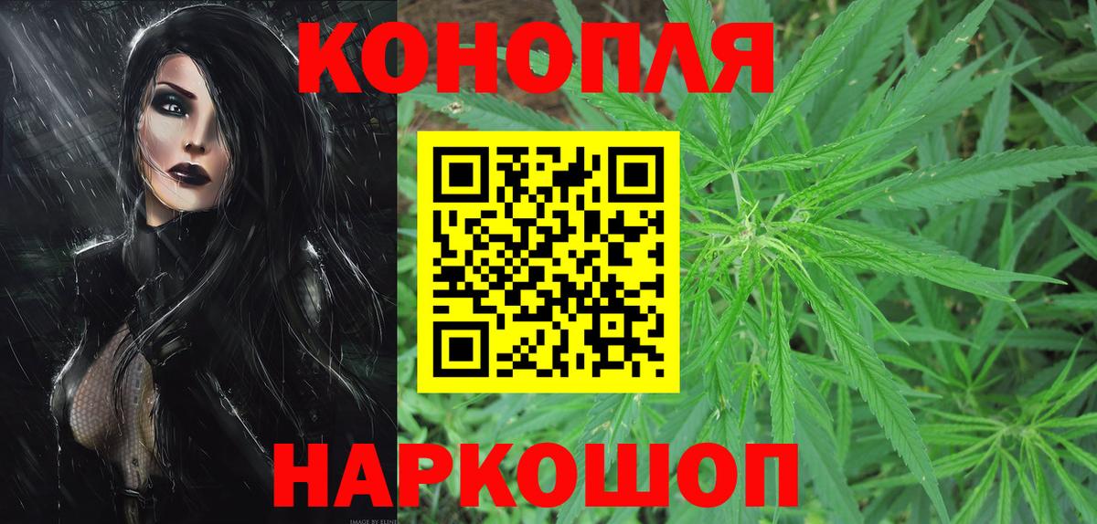 Бошки Шишки план Александров